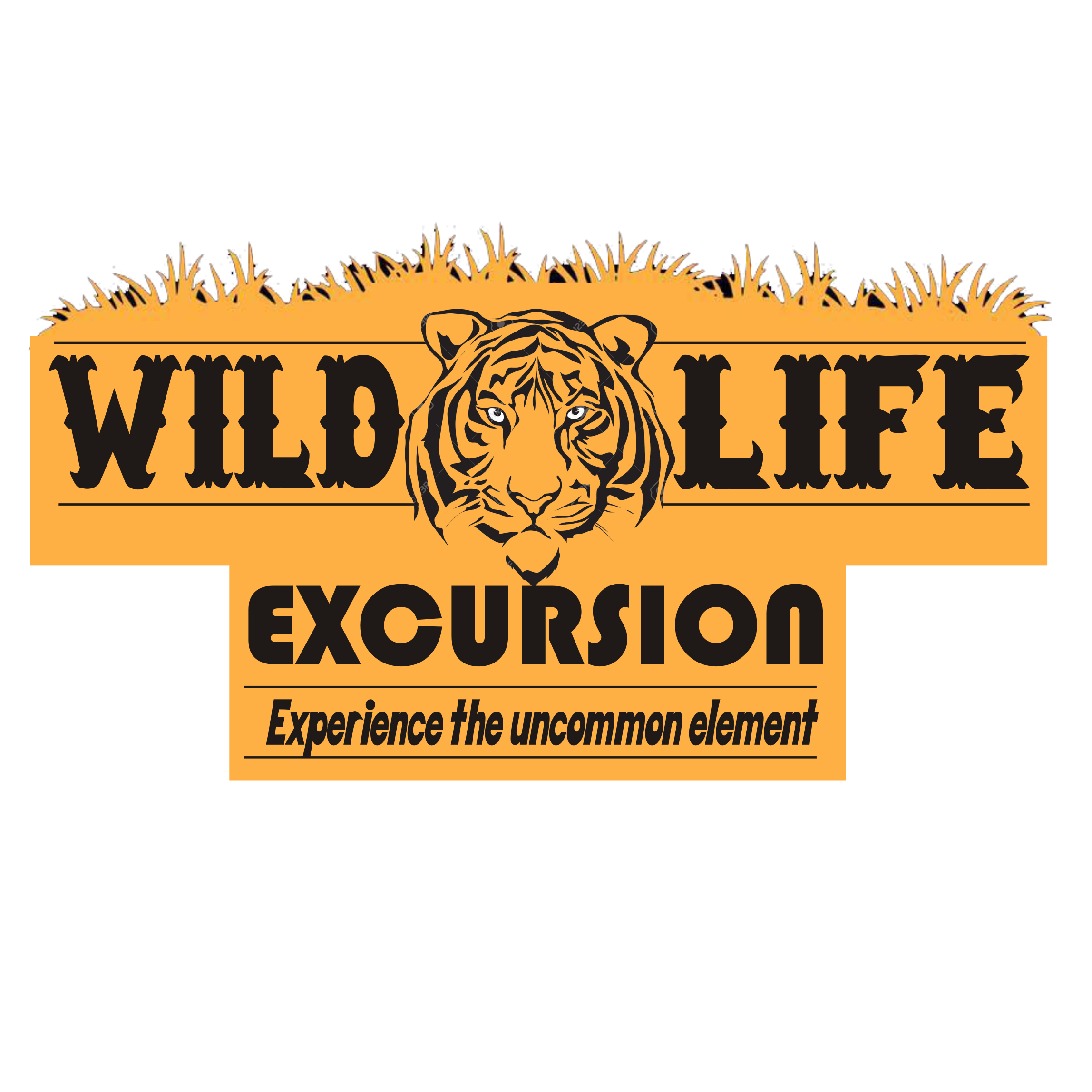 Wildlife Excursion