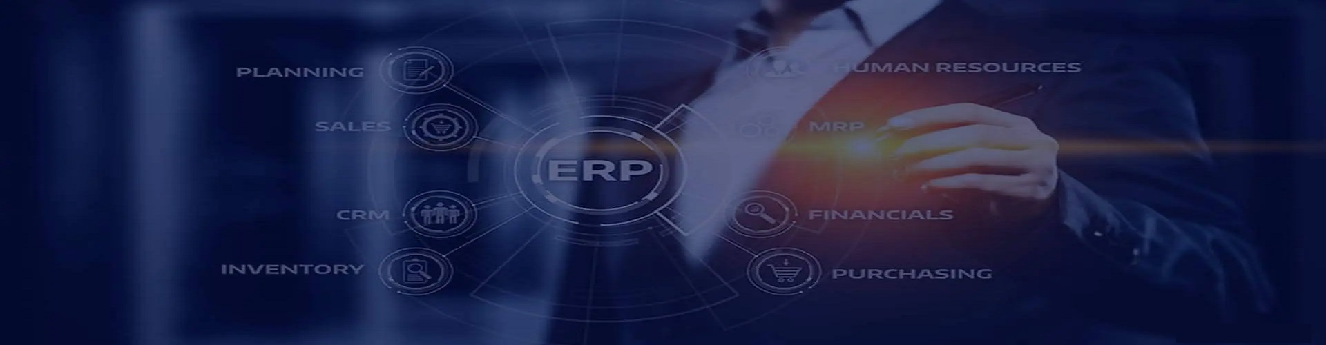 ERP CRM Software Development Services
