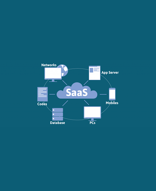 About SAAS Software Development Services