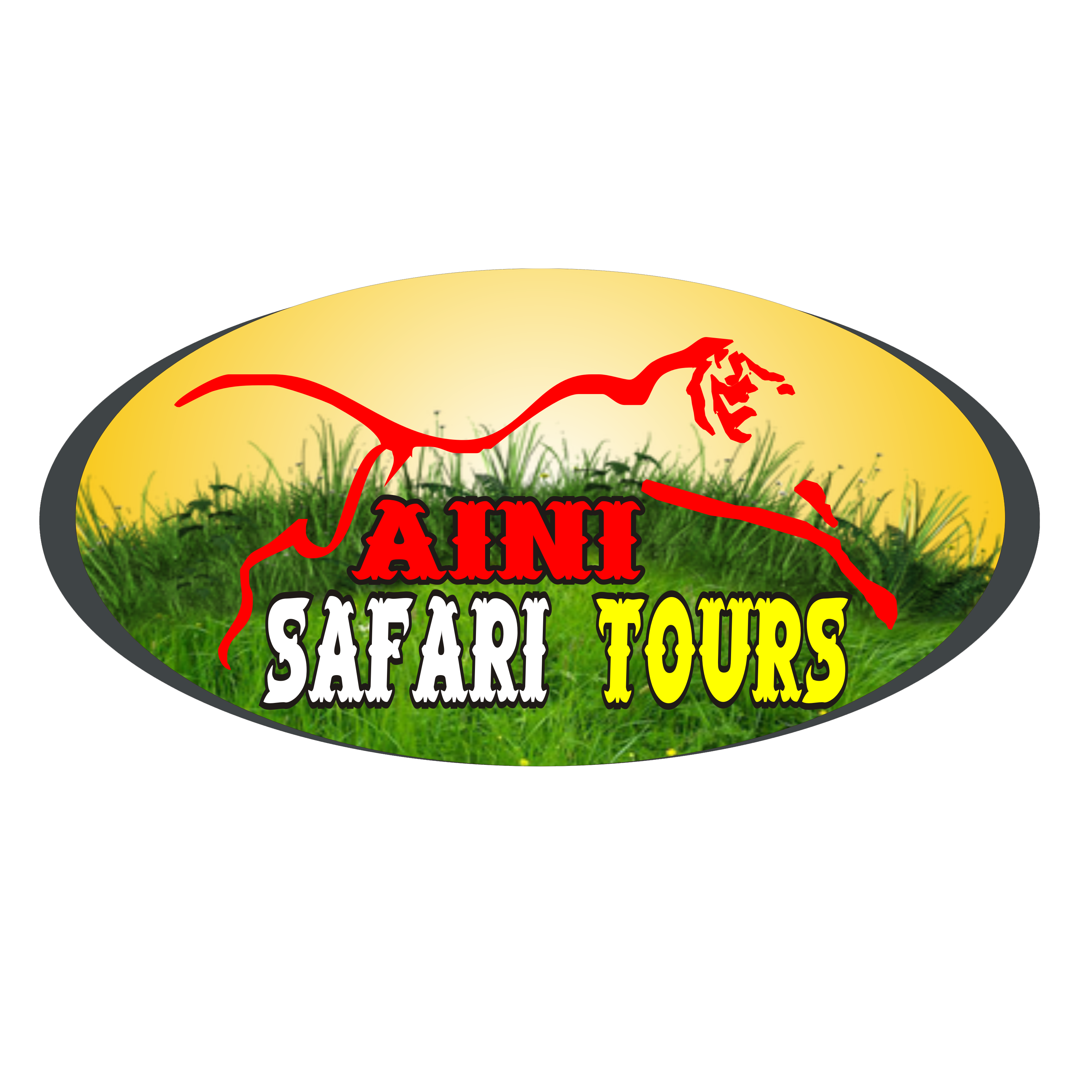 Saini Safari Tours