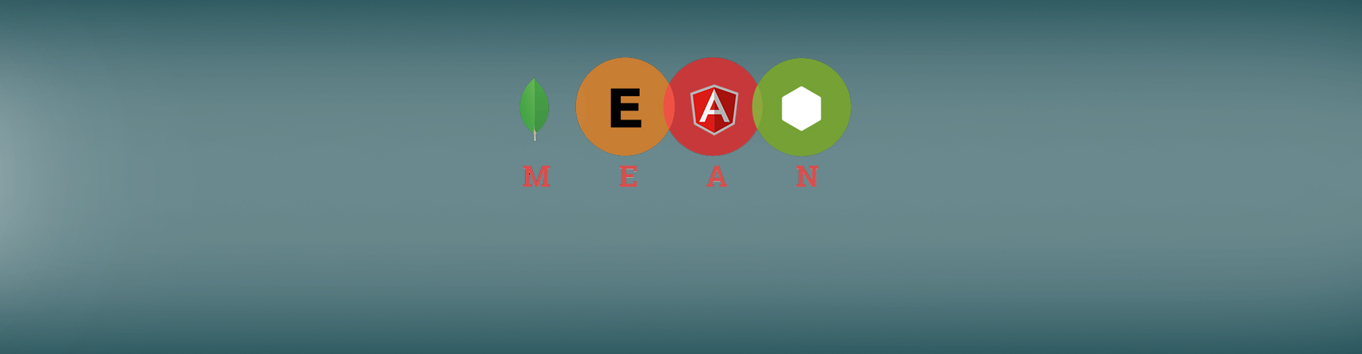 Mean Stack Development Services