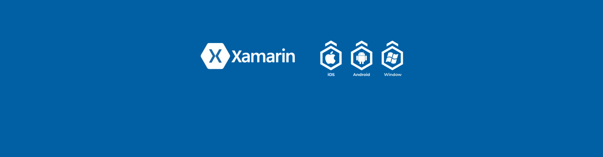 Xamarin App Development Services