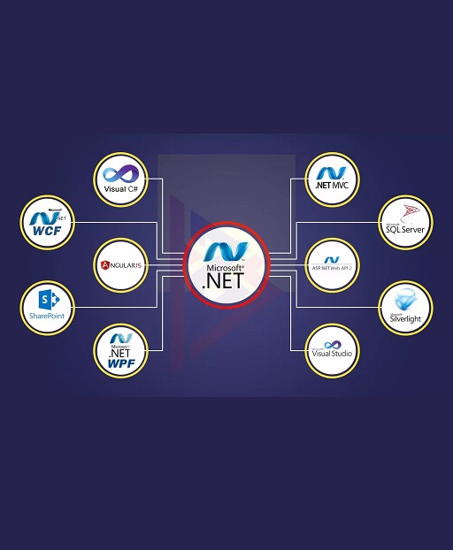 About Asp.Net Development Services