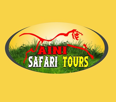 Saini Safari Tours