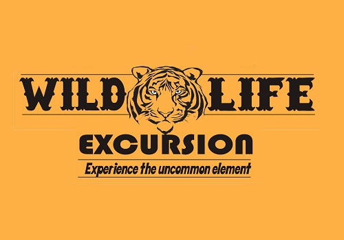 Wildlife Excursion
